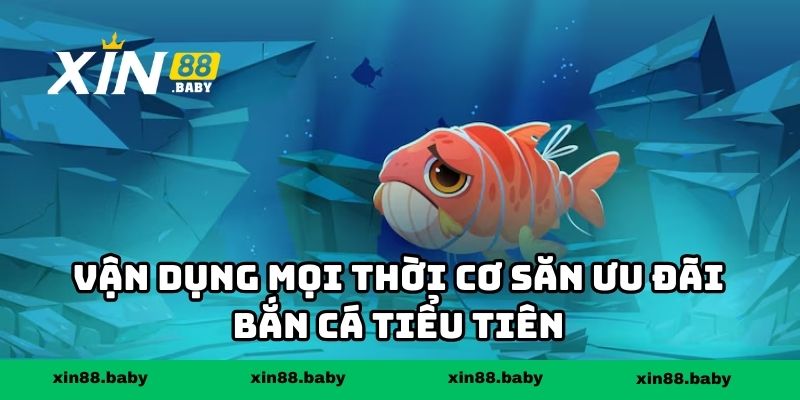 Vận dụng mọi thời cơ săn ưu đãi bắn cá tiểu tiên