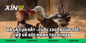 Đá Gà Cựa Sắt