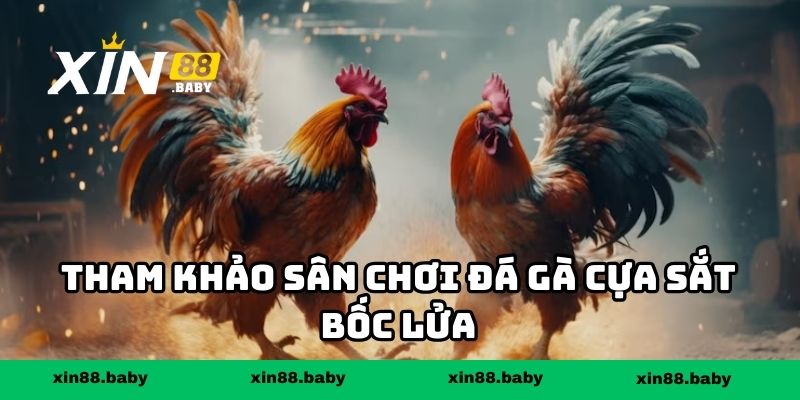 Tham khảo sân chơi đá gà cựa sắt bốc lửa