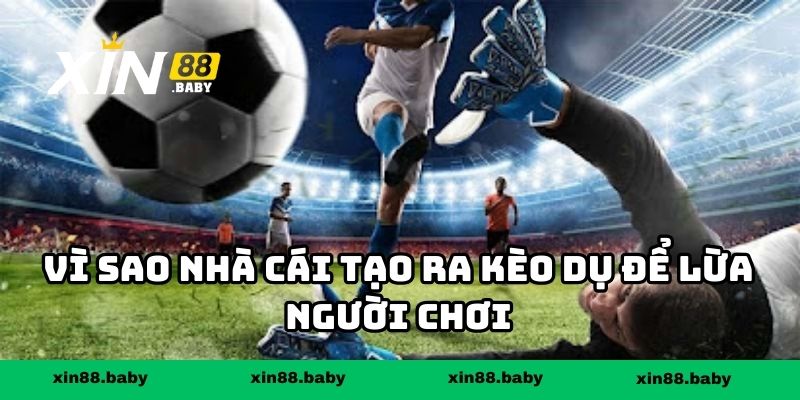 Vì sao nhà cái tạo ra kèo dụ để lừa người chơi